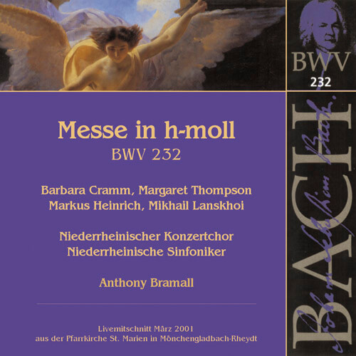 131 2008-bachhmoll