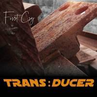 TRANSDUCER - FIRST CRY - Album Mastering 8x Titel - GENRE: Hardrock und Metal - DDP & Streaming